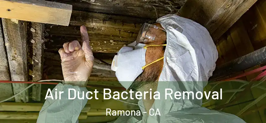  Air Duct Bacteria Removal Ramona - CA
