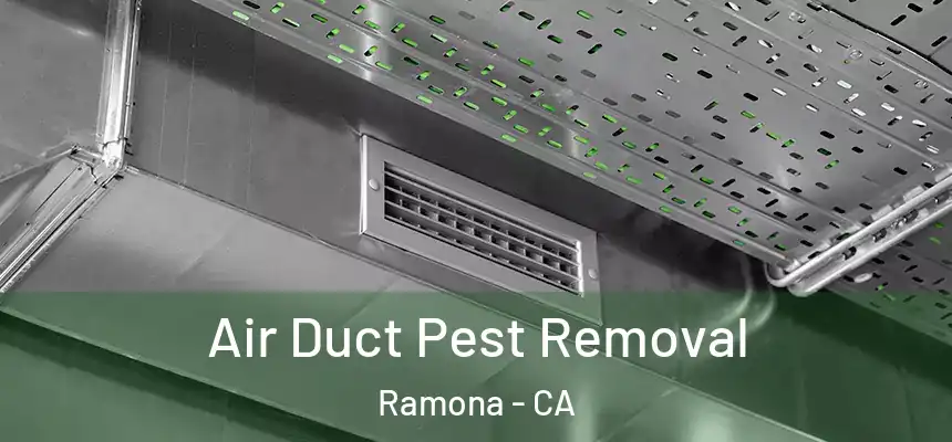  Air Duct Pest Removal Ramona - CA