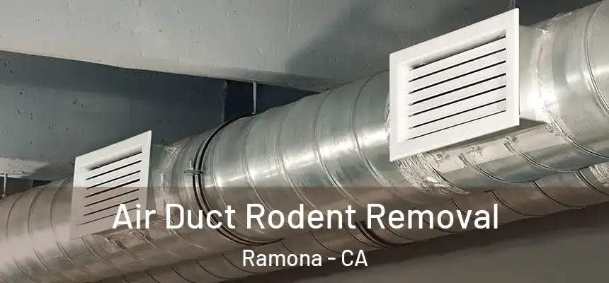  Air Duct Rodent Removal Ramona - CA
