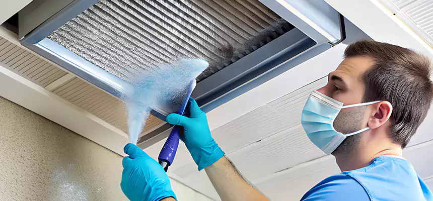 Proactive Dryer Vent & Auxiliary Duct Pollen Cleanup in Ramona, CA
