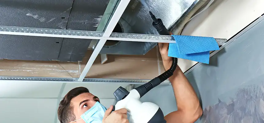 Our Air Duct Rodent Removal Services in Ramona, CA