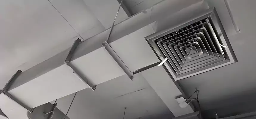 Restorative Allergy Relief Vent Cleaning – Coil, Blower & Housing Detail in Ramona