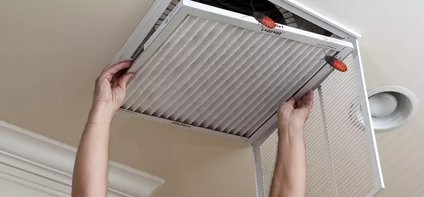 Our Insect Removal from Air Ducts Services in Ramona, CA