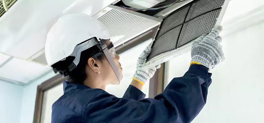 Our Mold & Mildew Removal from Air Ducts Services in Ramona, CA