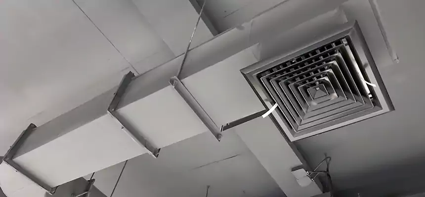 Our Pest Removal From Ducts Services in Ramona, CA