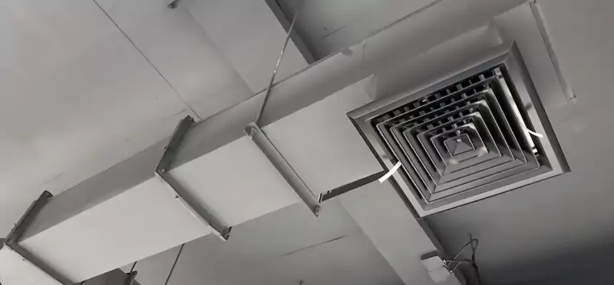 Our Rodent Droppings In Vents Services in Ramona, CA