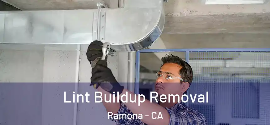  Lint Buildup Removal Ramona - CA