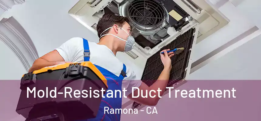  Mold-Resistant Duct Treatment Ramona - CA