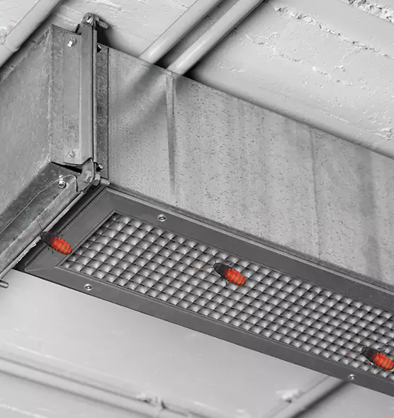 About Air Duct Cockroach Removal in Ramona, CA