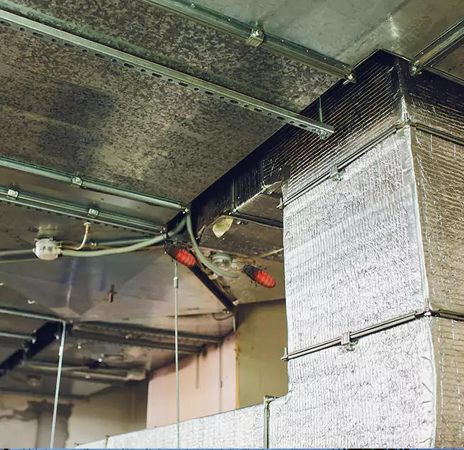 Why Homeowners & Businesses Trust Us in Ramona, CA?