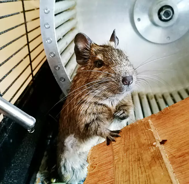 Why Homeowners & Businesses Trust Us Ramona, CA?