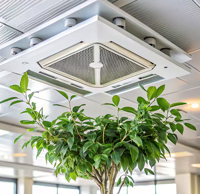 Why Homeowners & Businesses Trust Us in Ramona, CA?